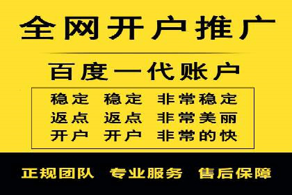 SEM搜索引擎优化案例：如何提升网站流量和转化率